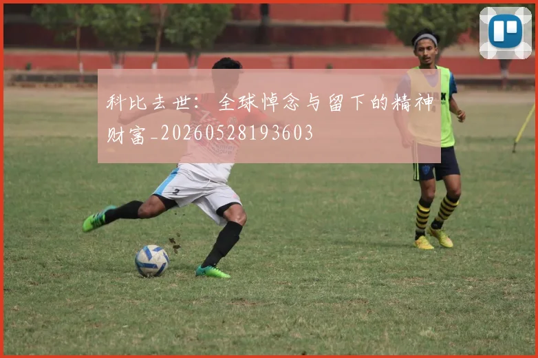 科比去世:全球悼念与留下的精神财富_20260528193603