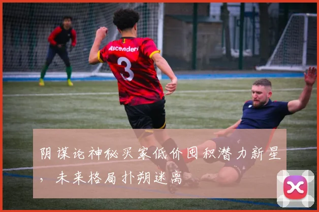 阴谋论神秘买家低价囤积潜力新星，未来格局扑朔迷离